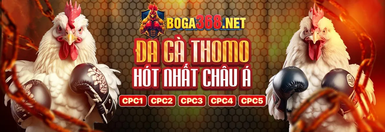Cấp độ Đồng Câu lạc bộ VIP ju88